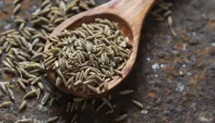 cumin-seed